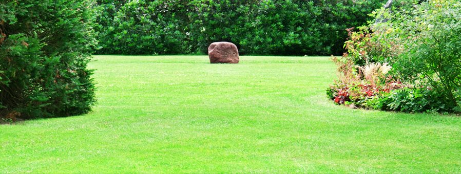 A freshly cut, weed-free lawn bordered by mature shrubs and a flower bed